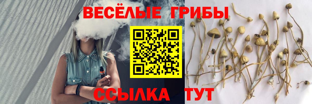 Галлюциногенные грибы Psilocybine cubensis  Вход с VPN  Заринск  Псилоцибиновые грибы мухоморы 